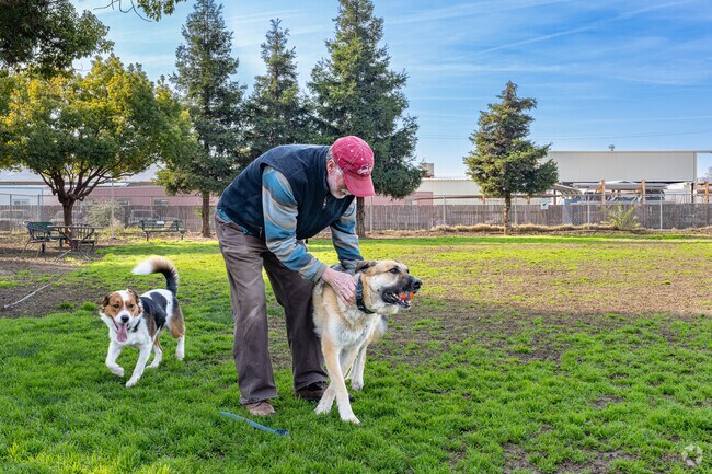 Exeter residents enjoy bringing their furry friends to the downtown dog park.