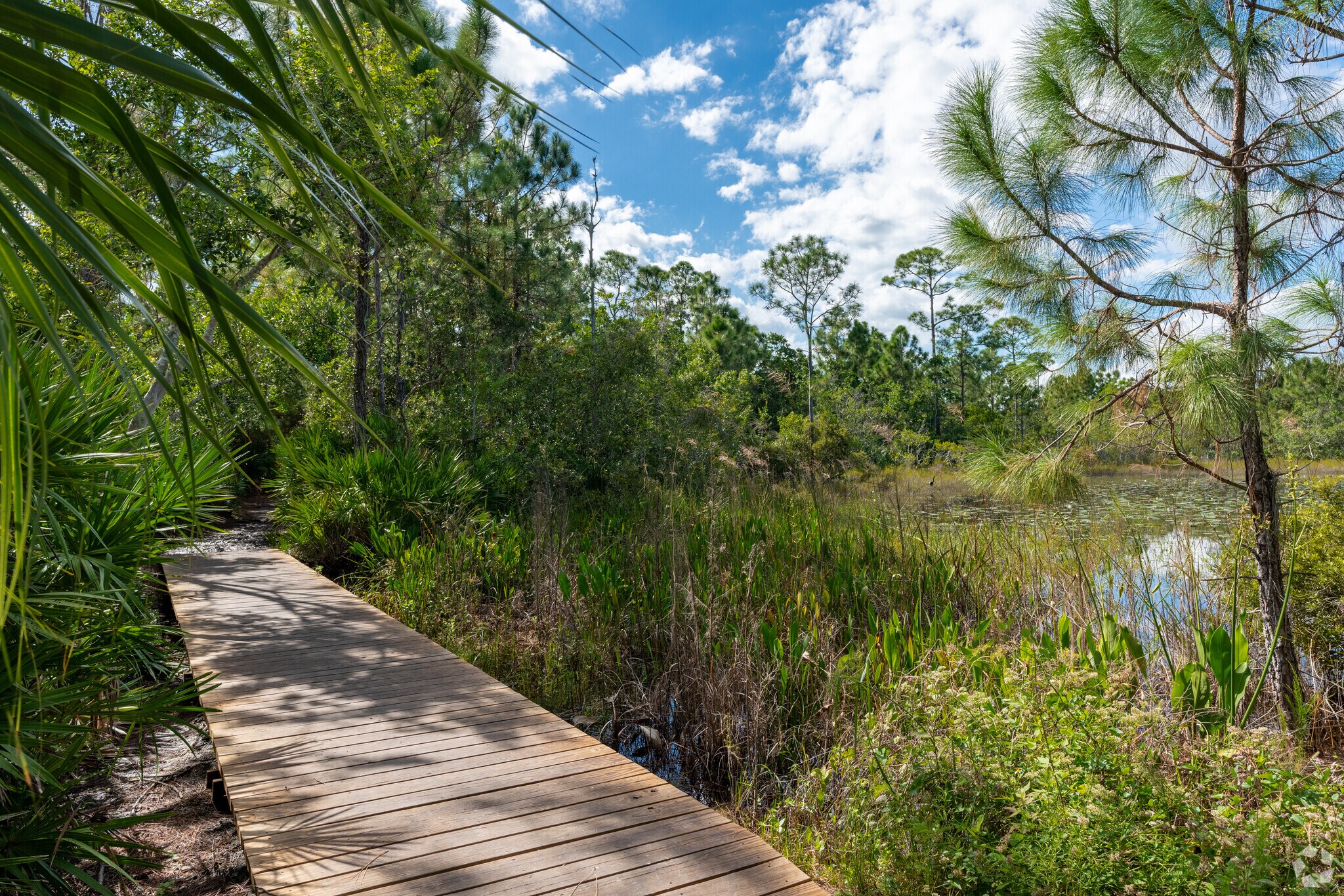 The local wildlife and bird preserve features a stunning view of its wetlands.