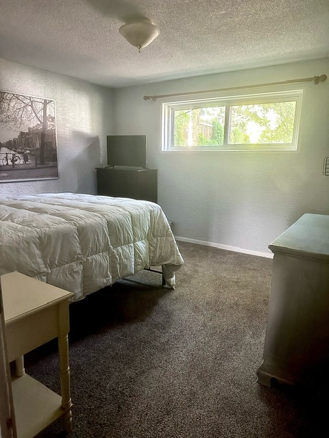 3634 Alpine Place, Colorado Springs, CO 80909