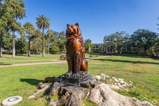 The Los Gatos High School Wildcats are Monte Sereno's local pride.