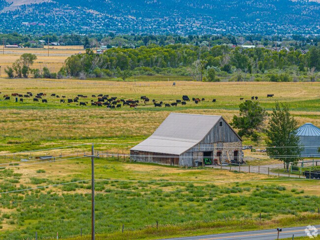 Barns and cows are ubiquitous to the Helena Valley West area.