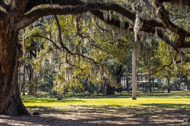 A view of an open field at Swann Circle Park.