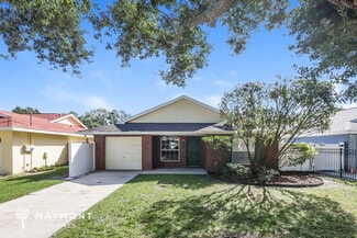 11724 Lynn Brook Cir, Seffner, FL 33584