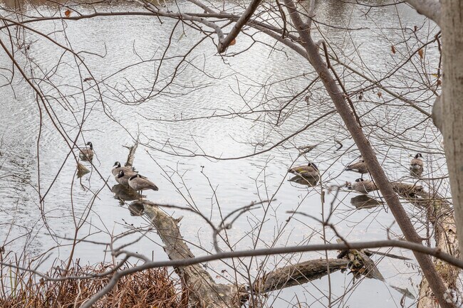 Rockford has an extensive system of parks and hiking trails for all to enjoy.