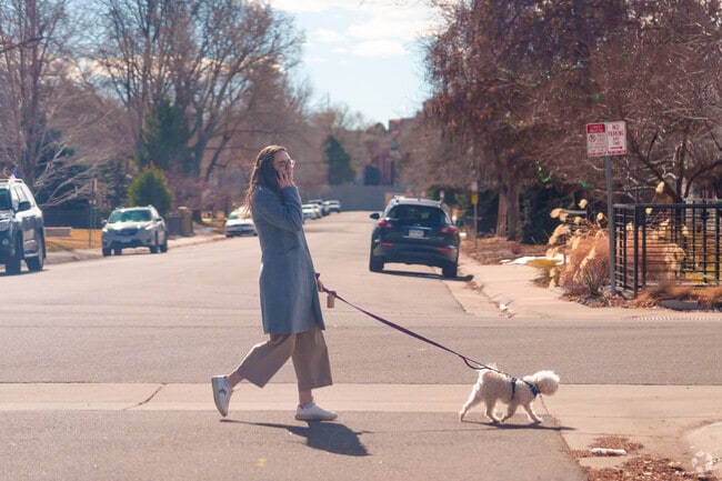 The quiet streets of Cory-Merrill make for a great place to walk your dog.