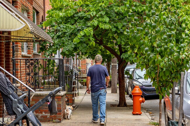 The pups will love the tree lined blocks of Bella Vista.