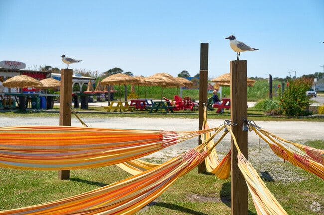 There is a relaxing beach vibe everywhere you go in Chincoteague.