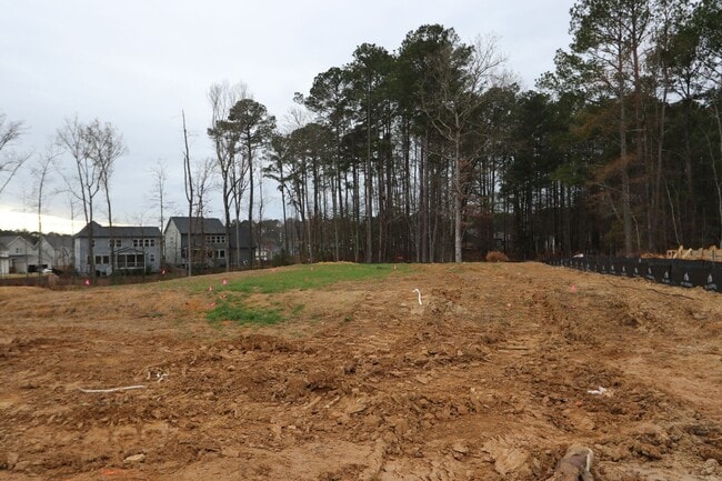 2422 Andrena Way, New Hill, NC 27562 - photo 2