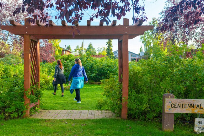 The Centennial Rose Garden at Delaney Park blooms seasonally in Downtown Anchorage.