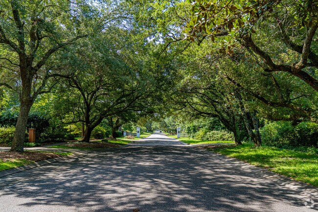 Tree-lined streets are a common characteristic of Glen Meade.