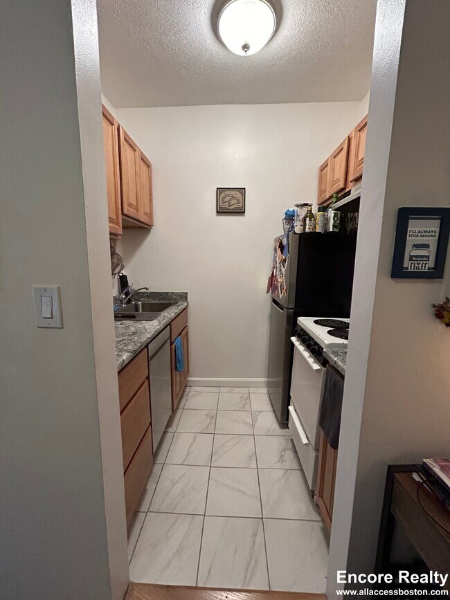 111 Norway St unit 303, Boston, MA 02115 - photo 5