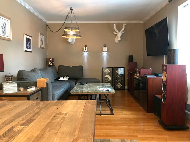 22 Fairbanks St unit 2, Brookline, MA 02446 - photo 4