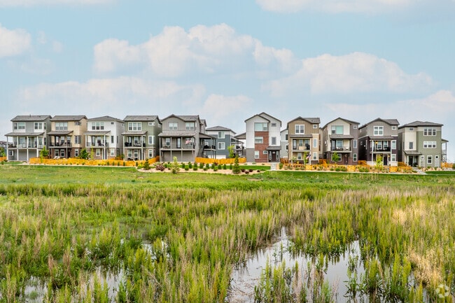 Nestled along lush wetlands, the homes near Crescendo Park in Stepping Stone offer a scenic blend of modern living and natural surroundings.