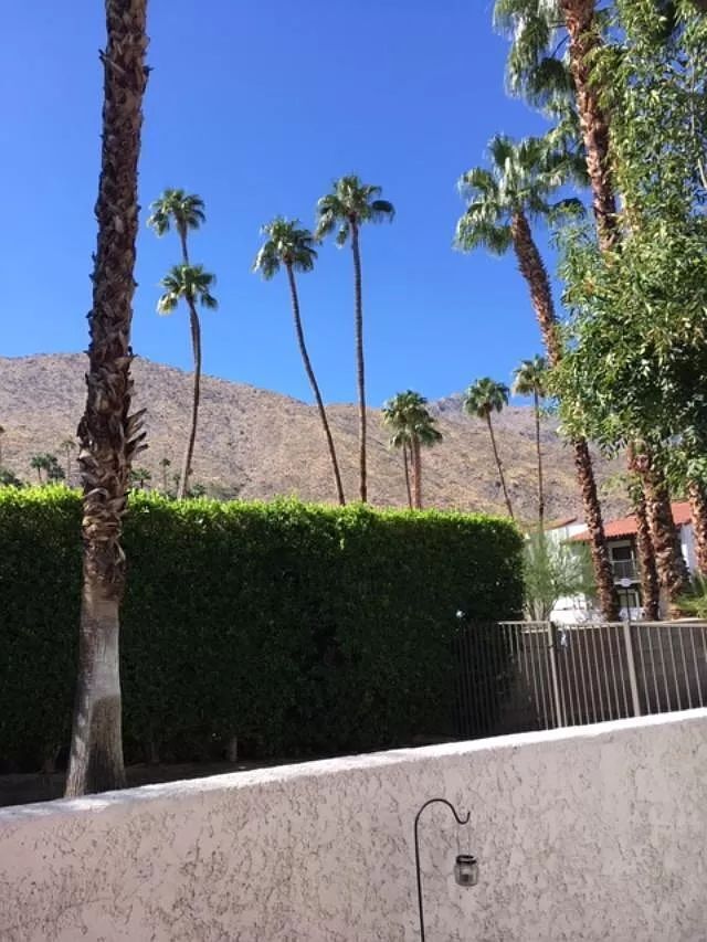 250 E San Jose Rd unit 61, Palm Springs, CA 92264 - photo 6
