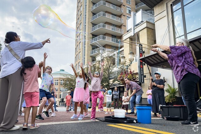 The Reston Multicultural Festival celebrates diversity and culture, just a short distance from Dranesville.