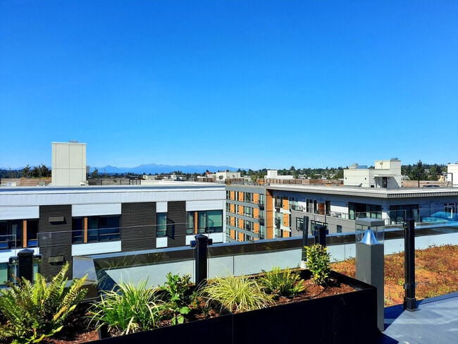 Vitality on 17th, Seattle, WA 98107 - photo 4