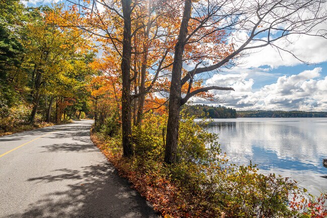Roads run along the beautiful lakes of East Douglas.