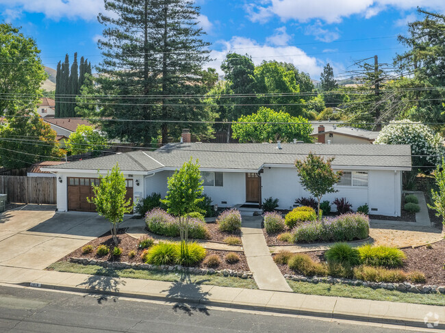 Mature trees surround the homes in the Rose Glen neighborhood of Concord, CA.
