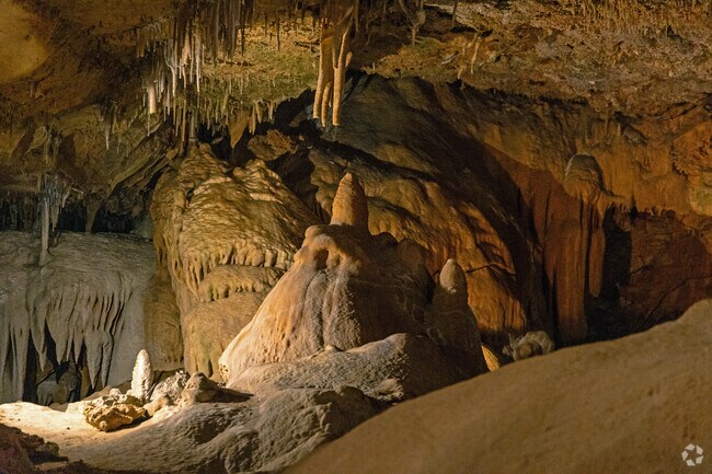 Inner Space Cavern is a karst cave located in Georgetown, Texas.