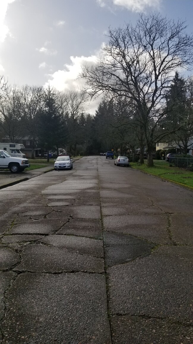 Nice Quiet street