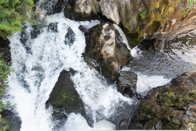 Natural sights are one of the strongest points of Tumwater Hill.