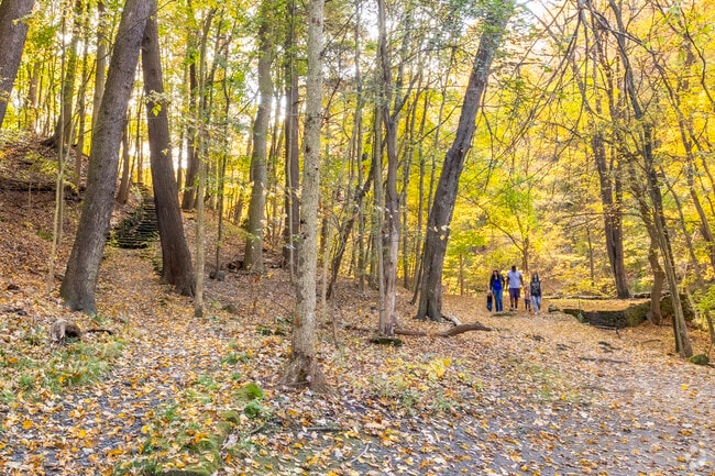 Take the family out for an easy walk through the woods at Yellow Creek Park near Youngstown.