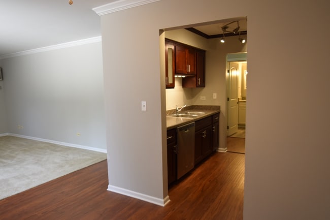 1425 Ashland Ave unit 1bed.1bath, Des Plaines, IL 60016 - photo 3