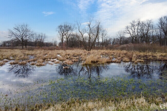 Hoosier Prairie Preserve features a marsh and geese, all beautifully reflected in the water.