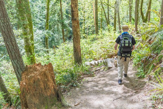 Big Gulch Park in Harbour Pointe has a trail system that folks love to trek along on sunny days.