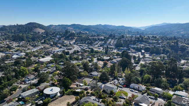 The Hilltop Green neighborhood is filled with foliage.