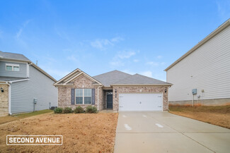 339 Hamilton Pointe Dr, McDonough, GA 30253