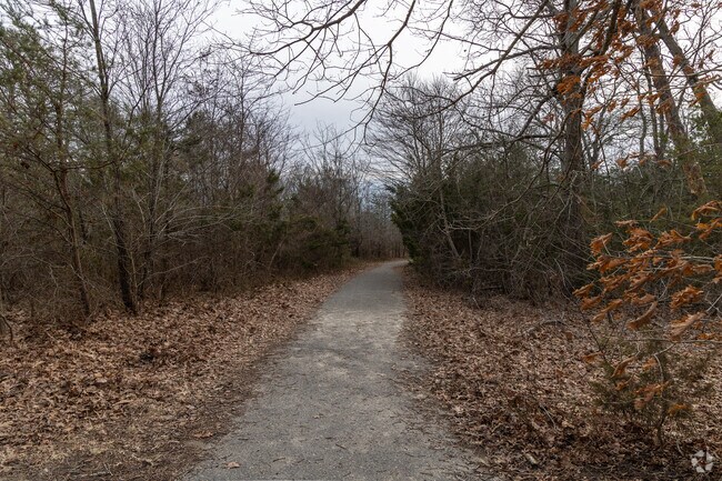You can walk the paved paths at Cox Hall Creek Wildlife Management Area and take in nature all around you.
