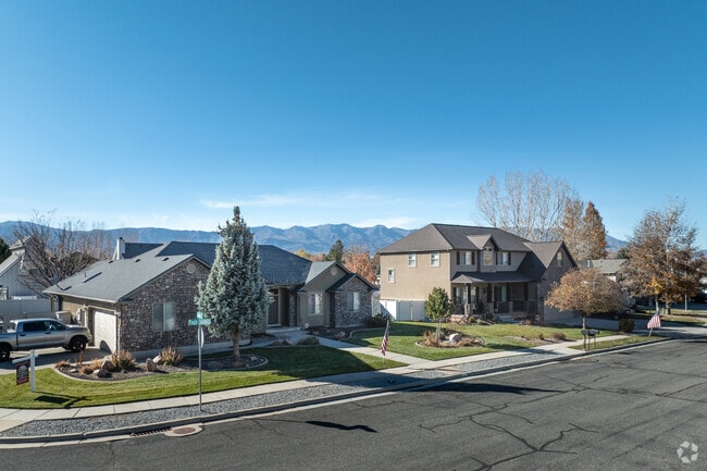 Single-family homes often feature lots with juniper bushes and evergreens.