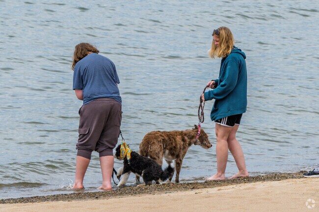Lake Michigan Beach residents visit Rocky Gap Park, a Berrien County Park.
