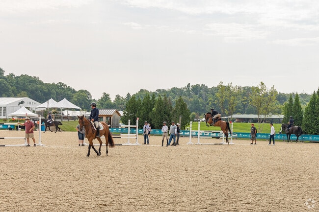 HITS is a great horse show with something for every level of competitor.