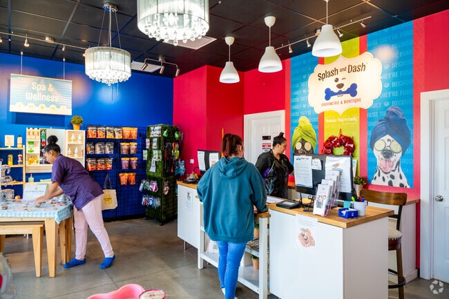 Splas and Dash offers timely pet grooming for Forestville residents.