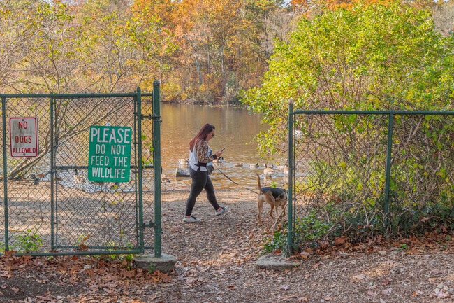 A woman walks her dog at the preserve in Massapequa.