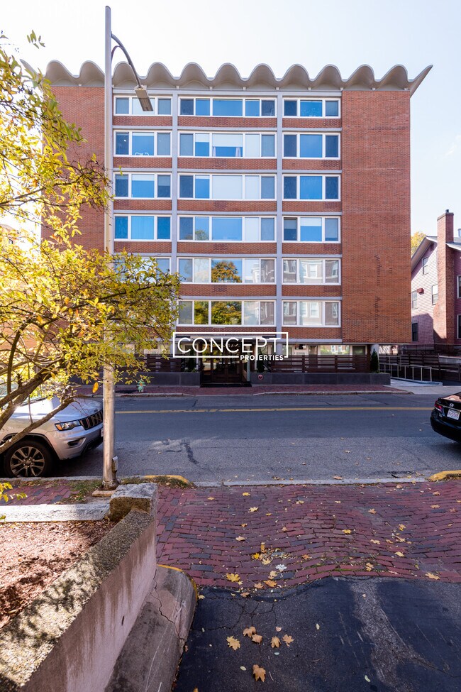 334 Harvard St unit 7, Cambridge, MA 02139 - photo 4