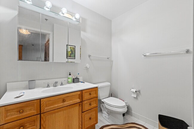 The Grand Orleans unit 1505, Chicago, IL 60654 - photo 5