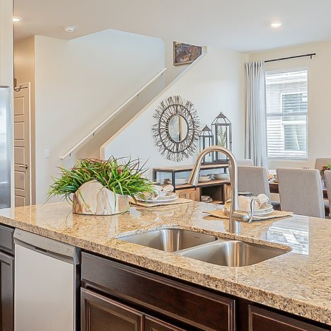 8817 E Crimson Snowberry Way, Vail, AZ 85641 - photo 4