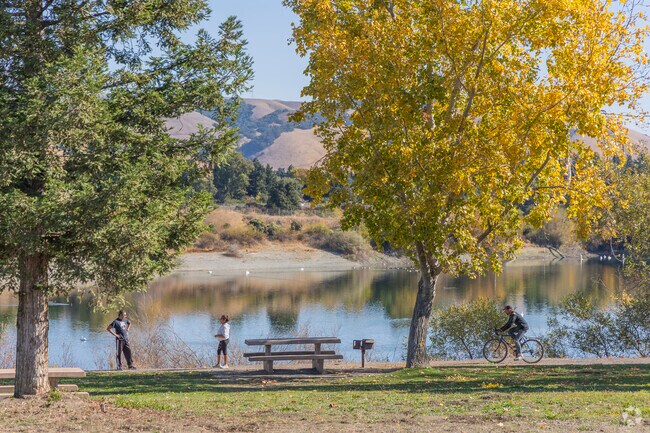 Brookvale's Quarry Lakes are full of life year-round.