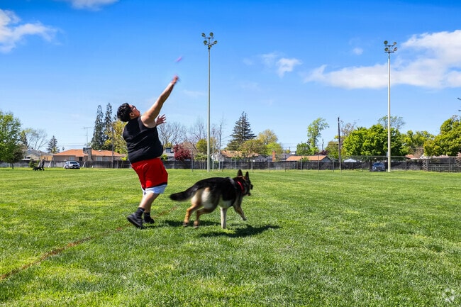 Enjoying a game of ball with furry friends at Sacramento’s Tahoe Park.