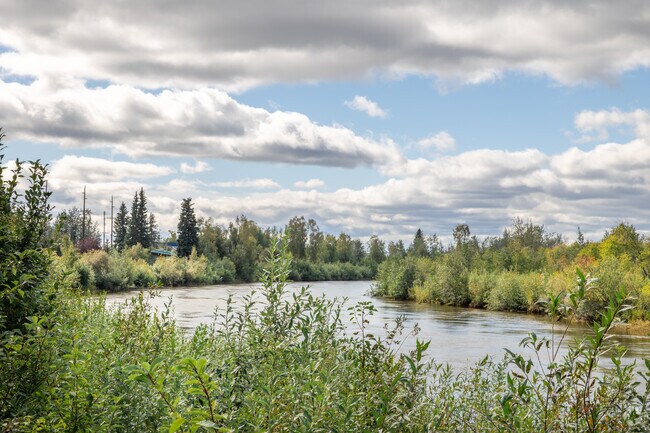 Enjoy the greenery in Weeks Field at the Chena Riverwalk.