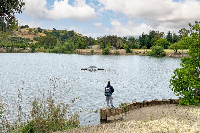 Almaden Lake Park offers great fishing for largemouth bass and bluegill in San Jose.