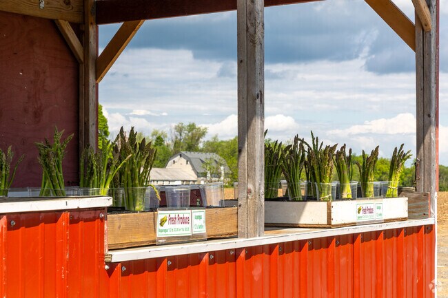 Franklin Township’s roadside farmstands offer fresh produce, local honey, and a taste of the area's rich agricultural roots.