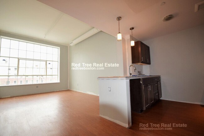9 Williams St unit 310, Boston, MA 02119 - photo 3