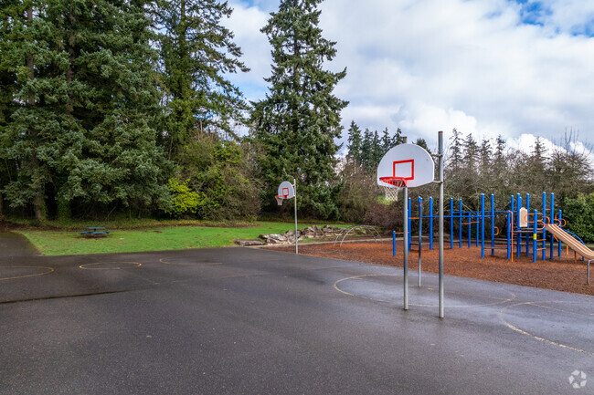 Mt. View Elementary School basketball court.