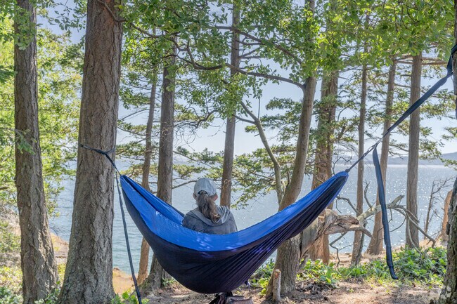 Relax in the shade while enjoying bay views at Clark’s Point in Edgemoor.