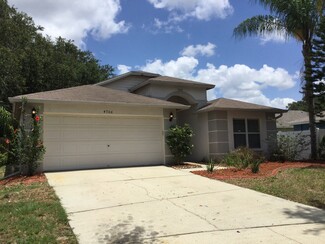 4706 Dragon Tail Ct, Valrico, FL 33594