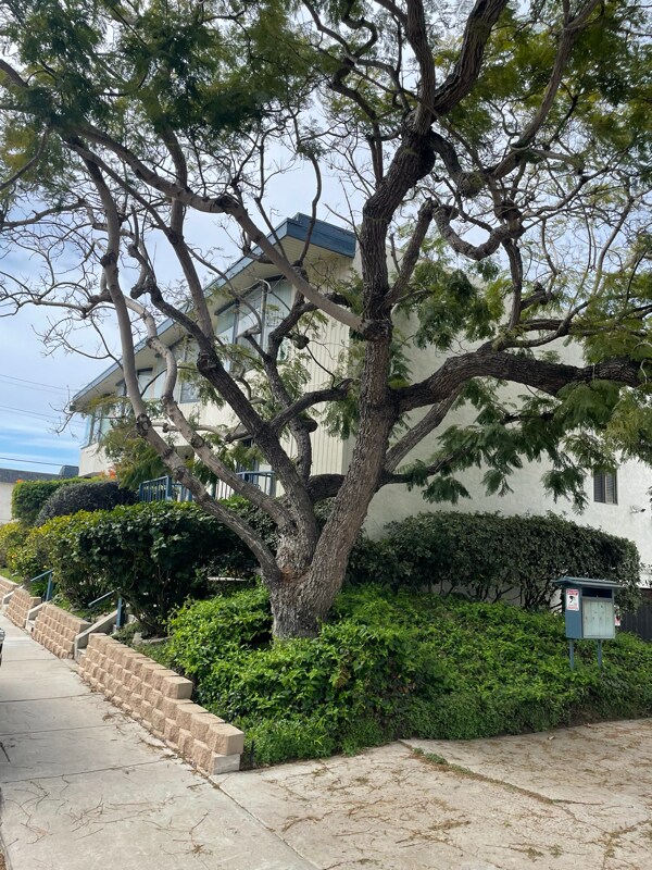 1412 Graham St, San Diego, CA 92109
